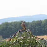 Landliebe Tännesberg
